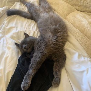 Meet your Posher, Lissa